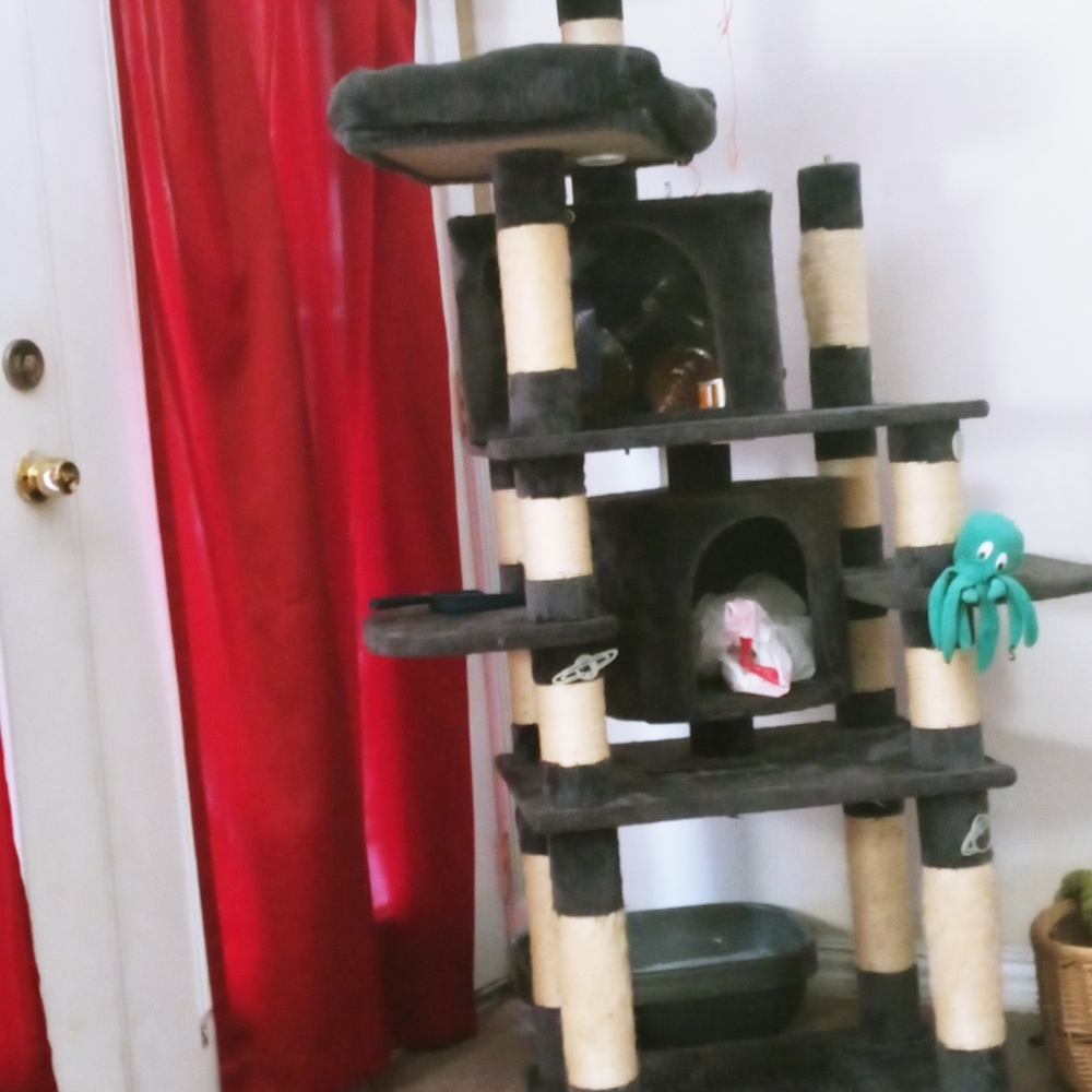Cat post